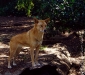 2004-21-0022-e01-webgal.jpg