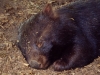 2004-22-0022-e01-webgal.jpg