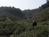 2008-005d-0128-e01-webgal.jpg