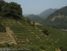 2008-005d-0129-webgal.jpg