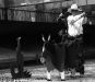 2008-036A-0033-e01-webgal.jpg