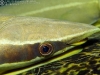 2006-07-0008-edit01-webgal.jpg