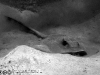 2006-09-0008-edit01-e01-webgal.jpg