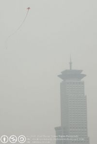 2008-005D-0087-e01-webgal.jpg