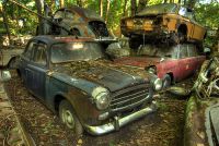 autofriedhof_kaufdorf.jpg