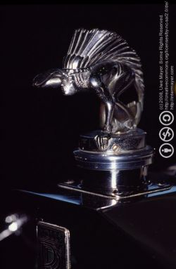 2008-013s-0031-e01-webgal.jpg