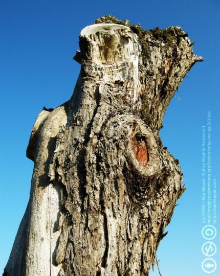 2008-111d-0045-e01-webgal.jpg