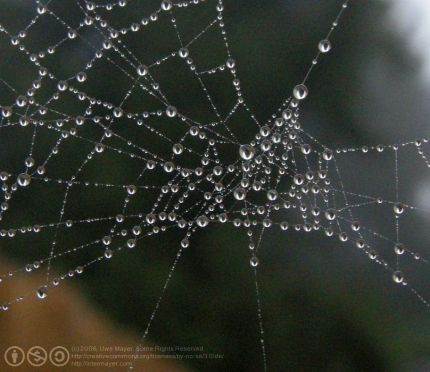 2008-116d-0030-e01-webgal.jpg