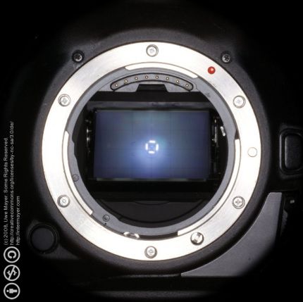 2008-117d-0019-e01-webgal.jpg 2008-117d-0019-e01-webgal.jpg